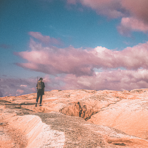 美国摘花XXXX视频
