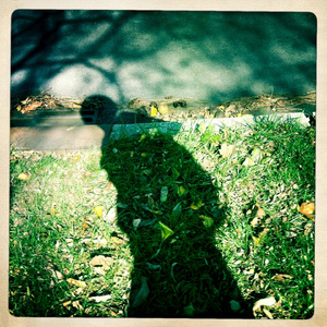 美国摘花XXXX视频
