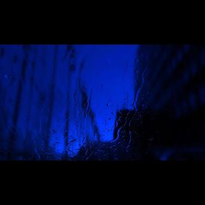 美国摘花XXXX视频
